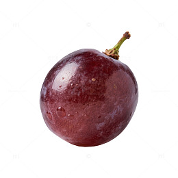 单颗紫红色葡萄静物图