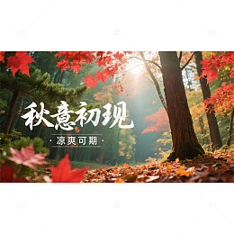 秋意初现森林邂逅凉爽海报