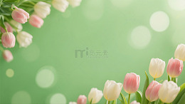 郁金香花朵蔓延