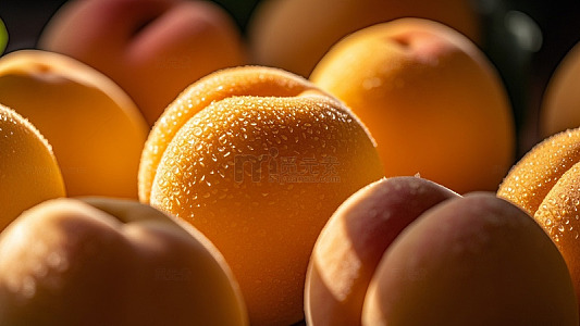 清新治愈系花草水果390