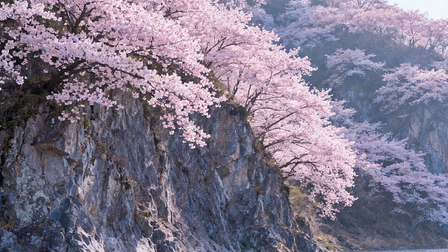 《日升撞碎晨雾》