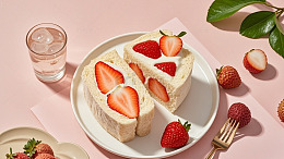 清新系简约美食摄影14