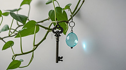 清新花草静物50