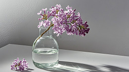 清新花草静物58