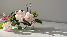 浅调花草摄影09