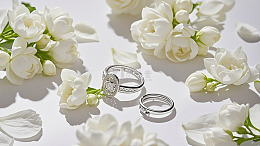 清新系简约花束摄影46