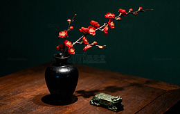 花草特写摄影集2002