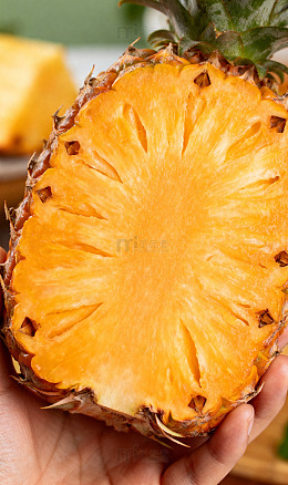 瓜果蔬菜特写摄影集16