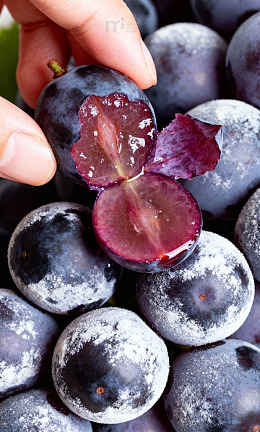 食材甜品果蔬风味图鉴106