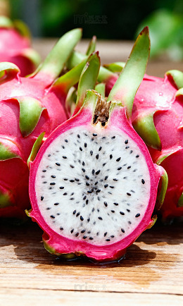 食材甜品果蔬图鉴37