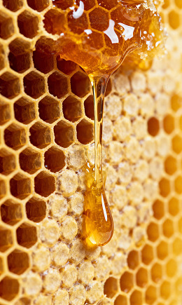 餐饮美食主食46