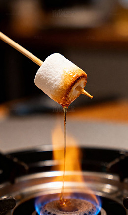 餐饮美食主食26