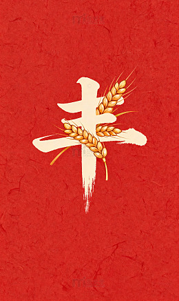 丰穗居中纹米白