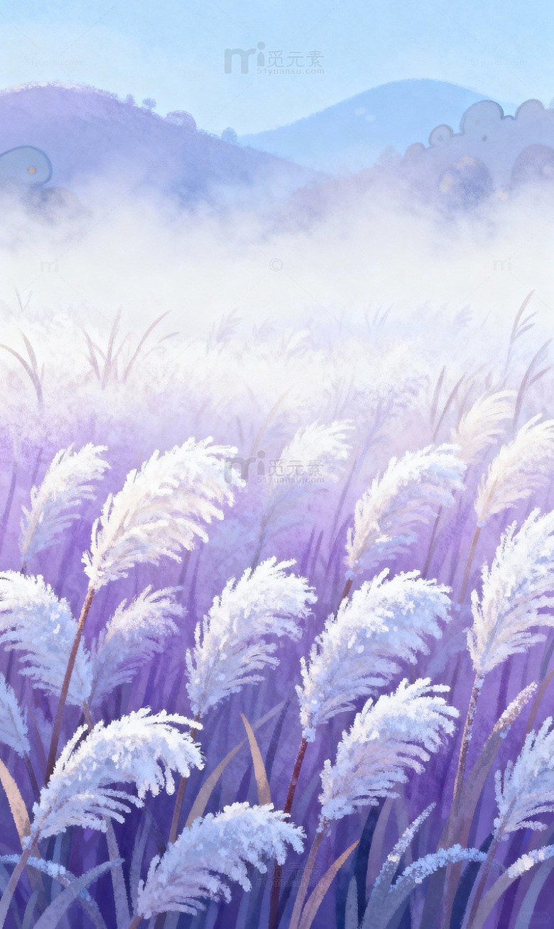 紫色的芦苇荡