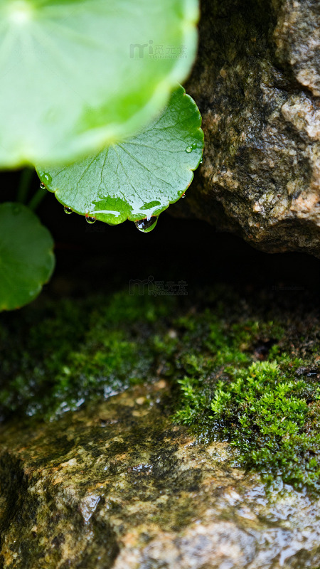 清新自然风景