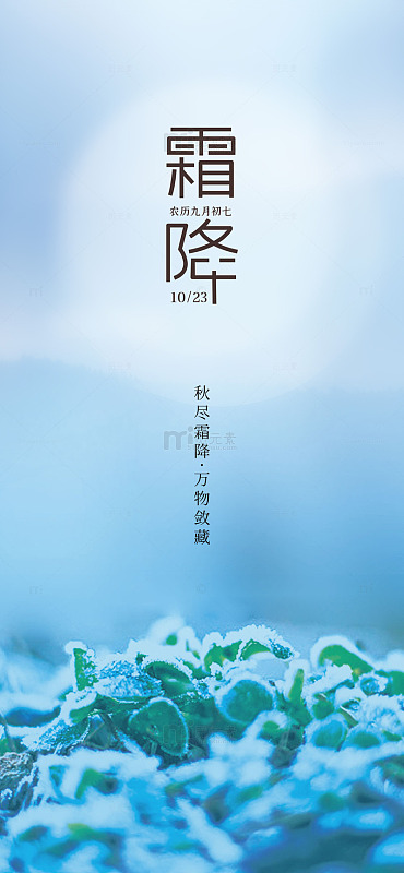 霜降节气宣传海报10