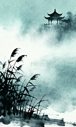 芦苇荡薄霜青灰地平线