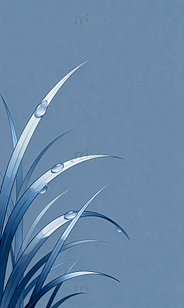 蓝灰草叶露珠流畅