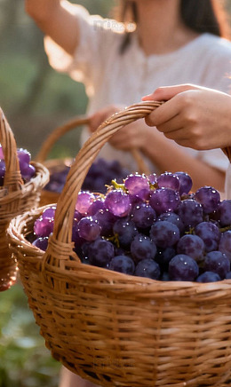 葡萄 特写 高清