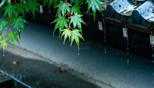 秋季 季节 图片