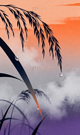 树木霜降背景