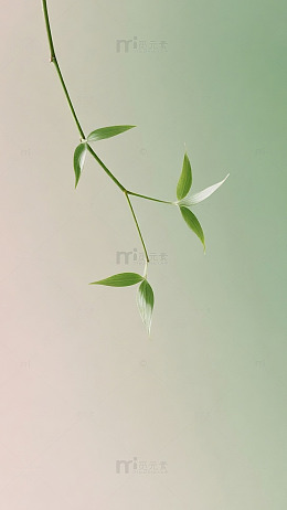 嫩芽绿渐变柳叶