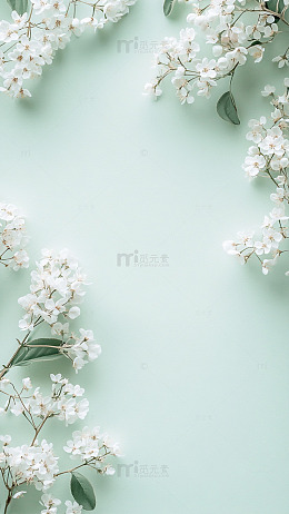 花朵淡绿背景