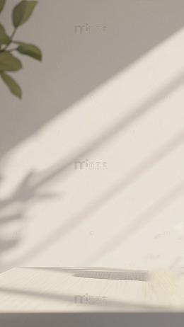 米色墙面植物光影简约风背景图