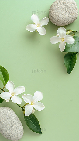 浅绿色底白花石头自然清新背景图