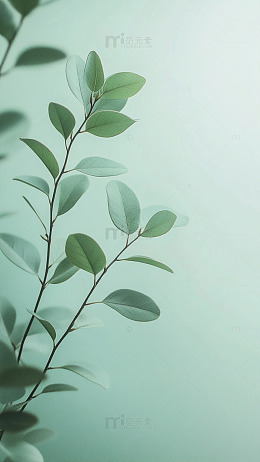 浅绿色底绿色嫩枝自然背景图