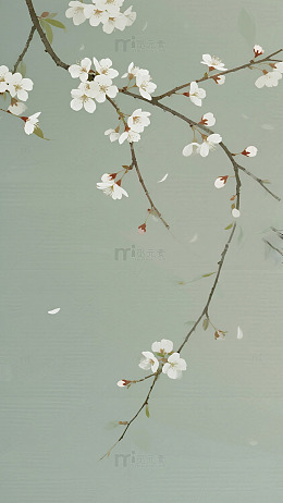 灰白梅花雅致背景图