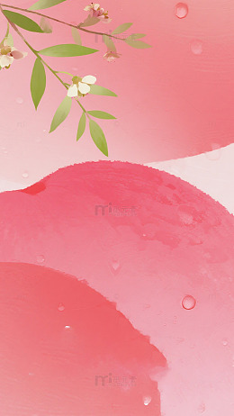粉白花枝诗意背景图