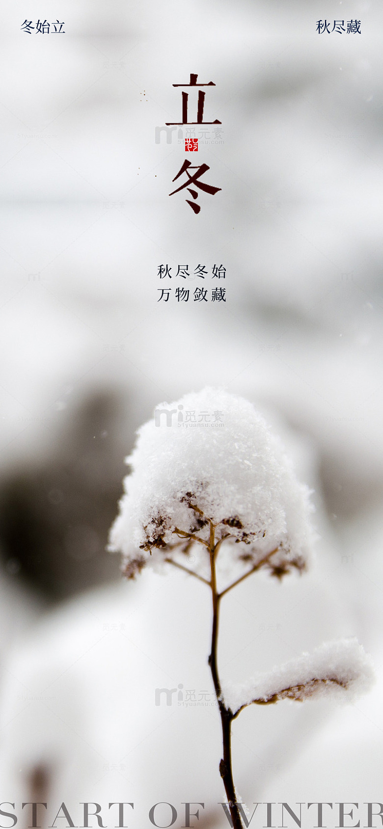 立冬节气宣传海报3