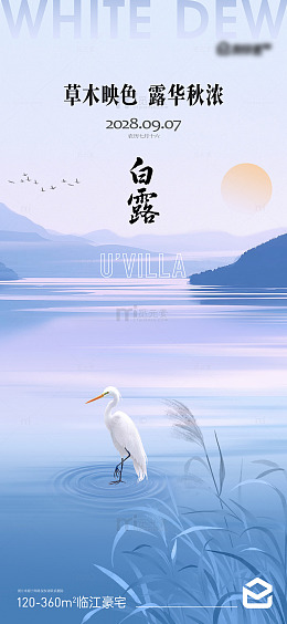 白鹭节气海报