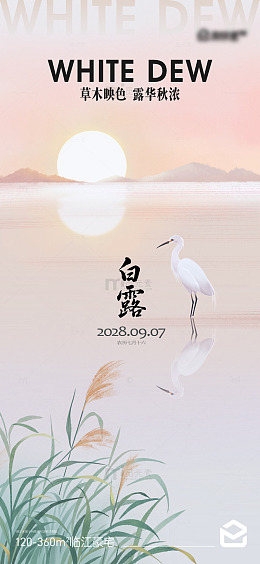 简约白鹭海报