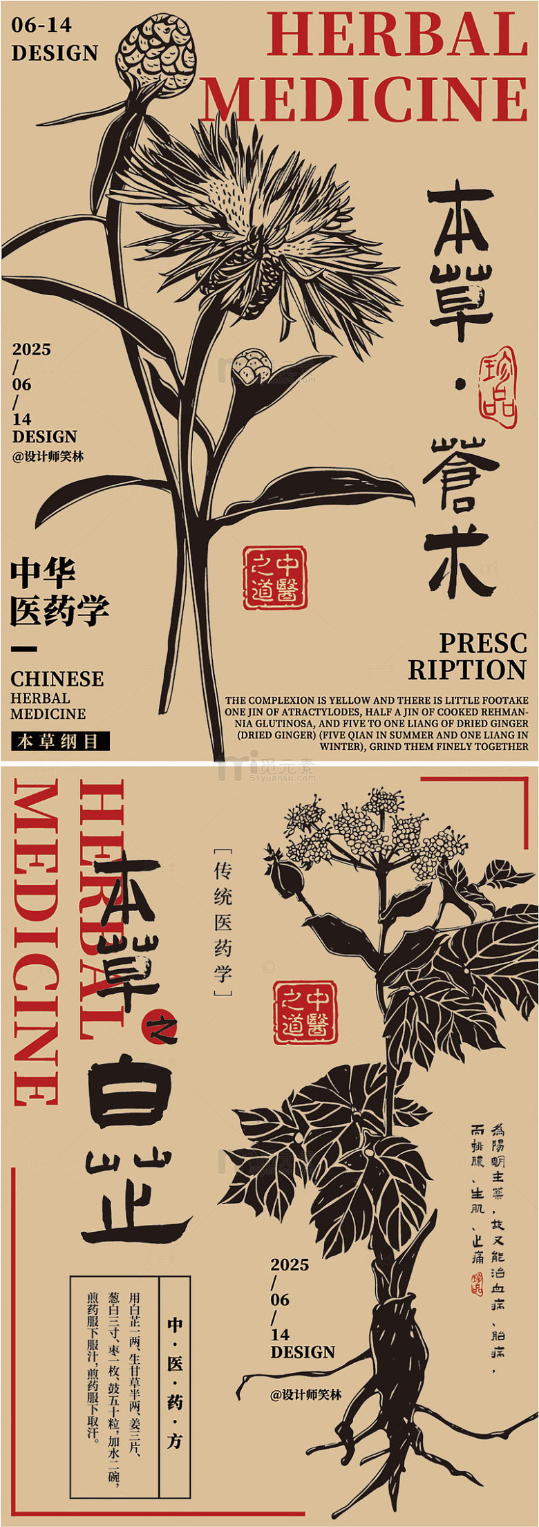 中医草药手绘植物海报