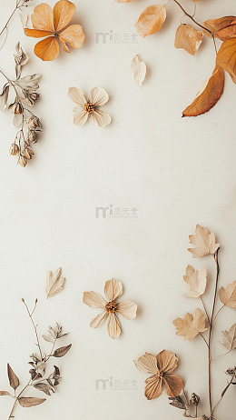 秋日干花装饰背景图