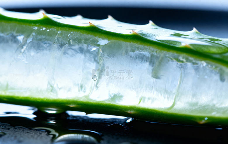 芦荟特写摄影图片