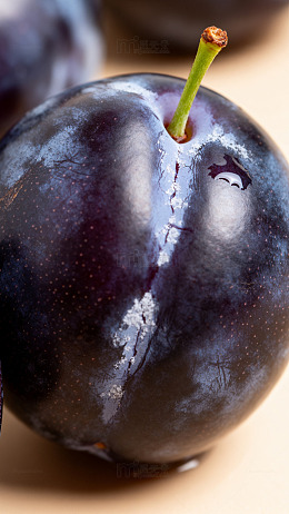 暗光李子特写摄影图2