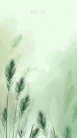 朦胧草叶诗意画面