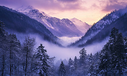 雪山晨曦雾霭森林