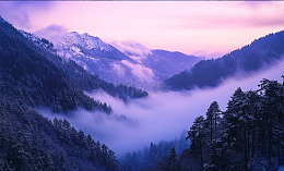 山谷云雾风光摄影图片