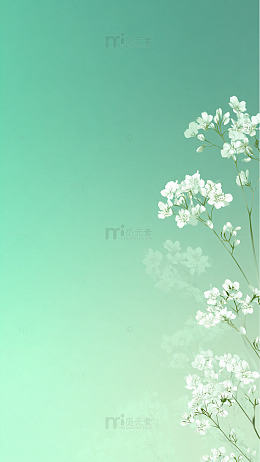 清新绿意白花淡雅壁纸