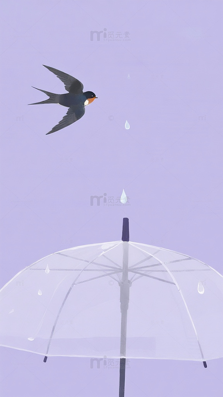 雨中天燕透明伞