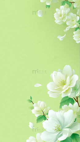 清新白玉兰花插画背景