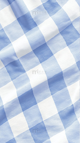 蓝白格子布料特写1