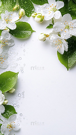 清新白花绿叶露珠装饰图