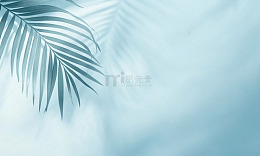 清新热带叶子背景
