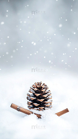 雪景松果冬日装饰