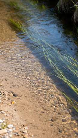 溪流岸边自然风景摄影
